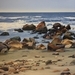 Stepping Stones
