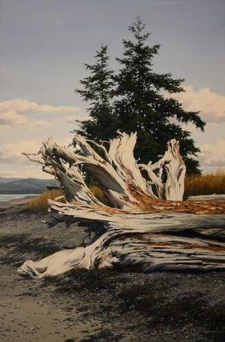 Roots