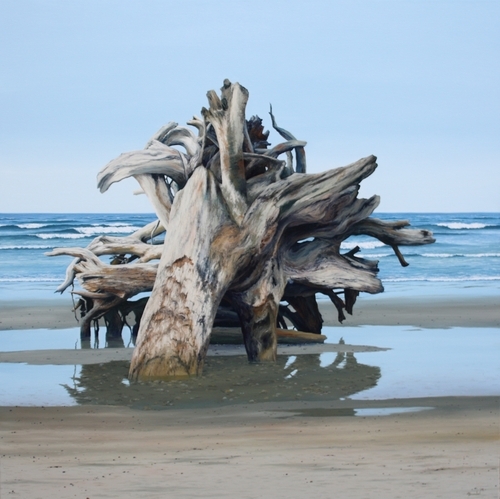 Tidal Treasure